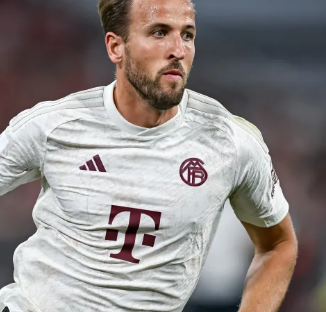 99击败浙 99击败浙