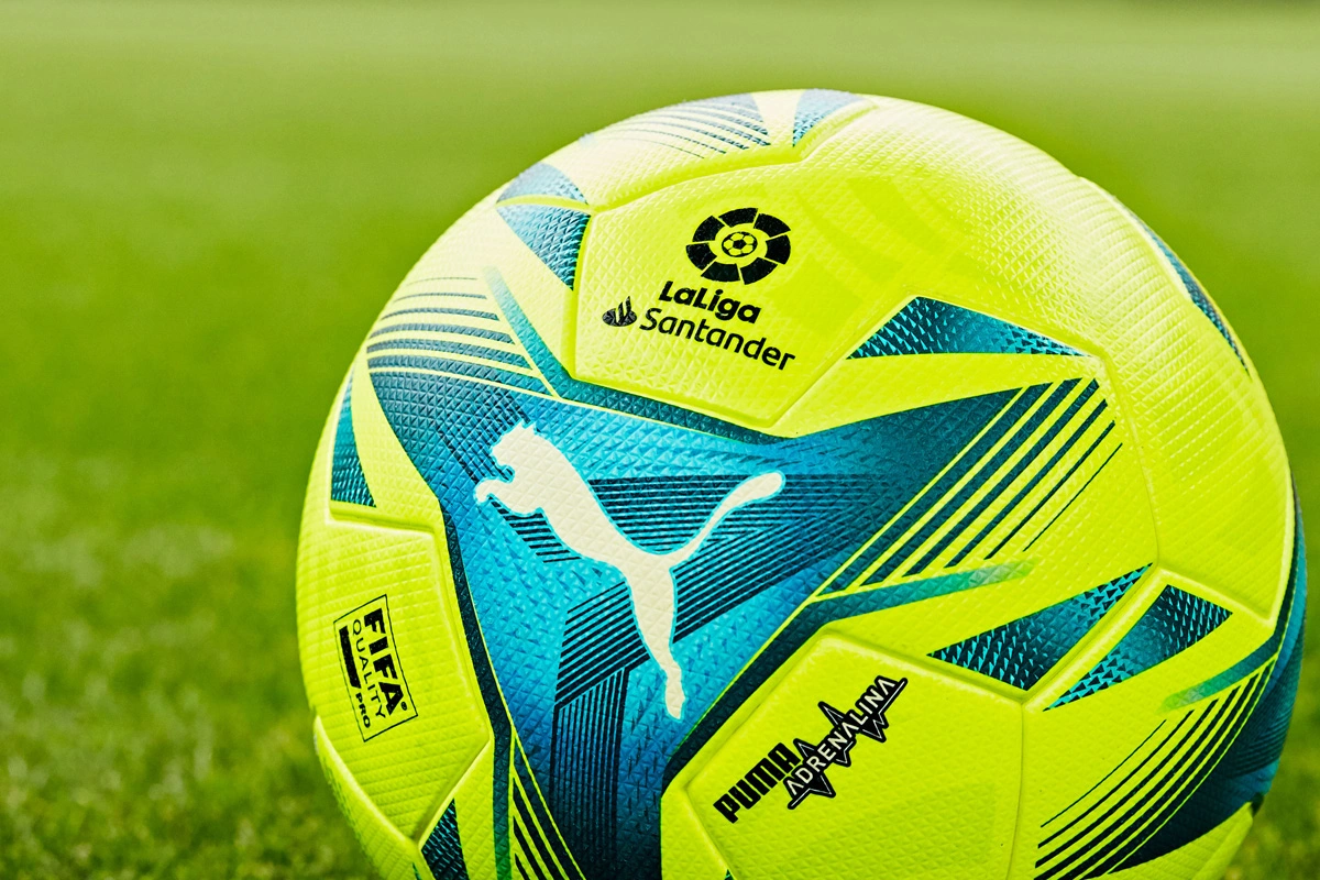 既能首球果 既能首球果